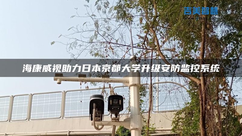 停车场系统软件定制：揭秘十大品牌背后的技术奥秘**