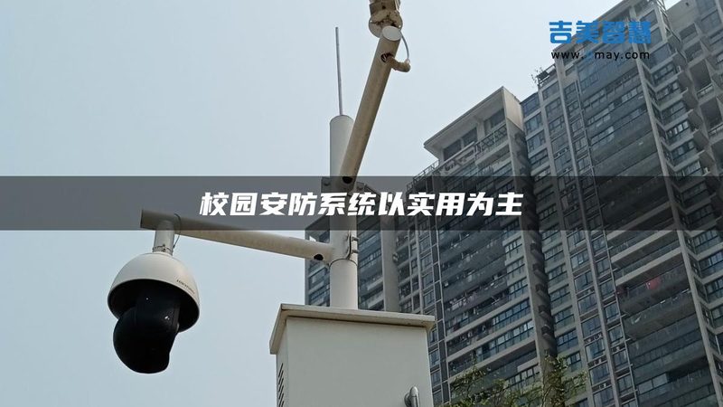 小成本店铺安防，如何打造高效防护网？**